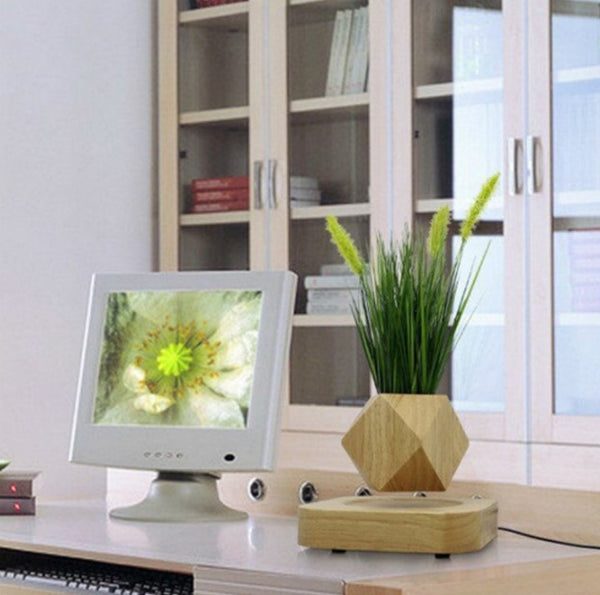 Macetas &amp; Plantas