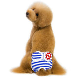 pantalones de menstruación perro gato