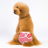 pantalones de menstruación perro gato