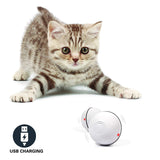 Pelota divertida del juguete para gato rodante electrónico del laser del LED