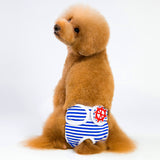 pantalones de menstruación perro gato