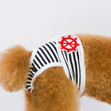 pantalones de menstruación perro gato