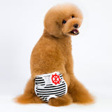 pantalones de menstruación perro gato