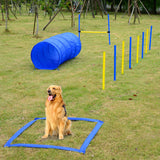 Conjunto de Entrenamiento de mascotas portátil para agilidad de mascotas, ejercicio de obstáculos para perros, anillo de salto ajustable, puente alto con bolsa de transporte