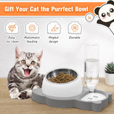 Comedero para perros y gatos, juego de cuencos inclinados para comida y agua para gatos, cuencos elevados de acero inoxidable para gatos con botella dispensadora automática de agua para gatos y perros pequeños, gatitos y cachorros