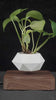 Magnetic Levitation Polygonal Wood Grain Potted Pl